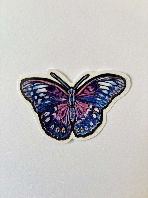 Blue Butterfly Sticker