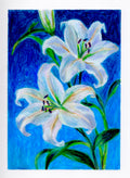 White lillies