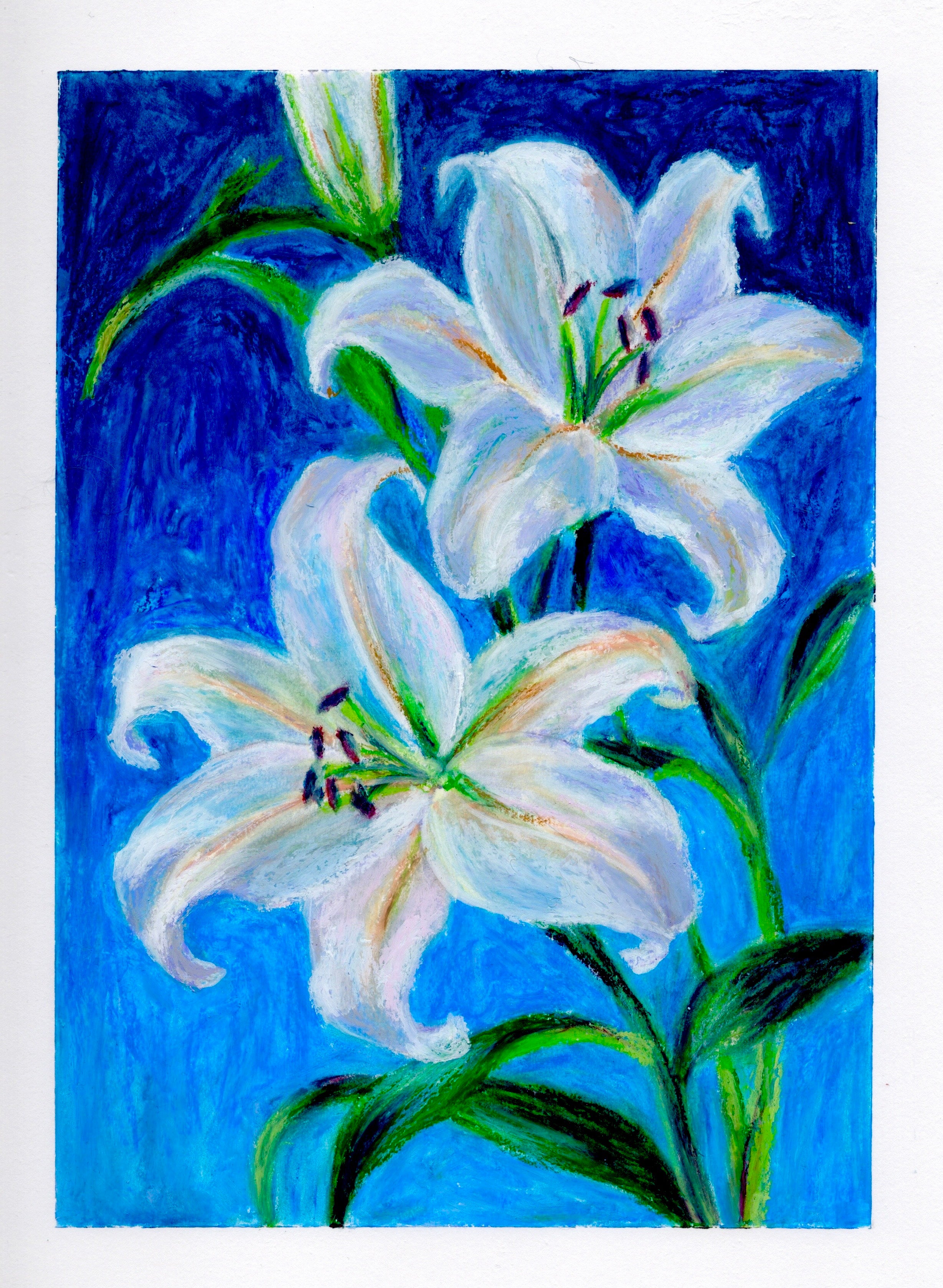 White lillies
