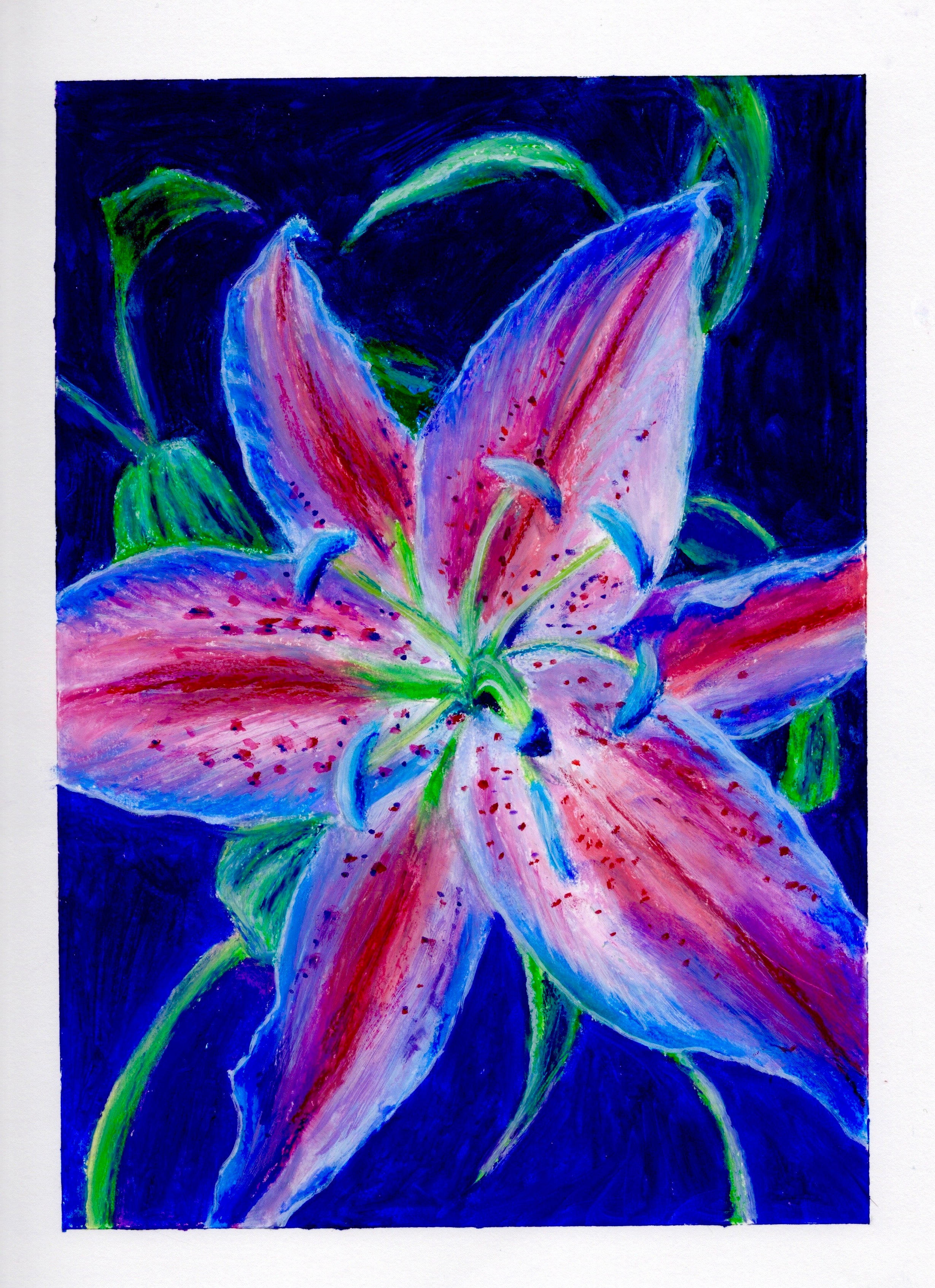 Lily Flower